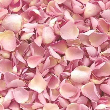 Baby-pink-freeze-dried-rose-petals