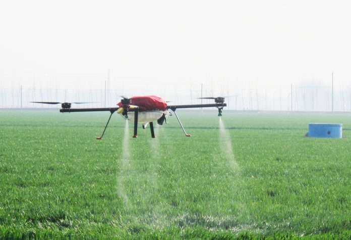 drones to spray insecticide on crop