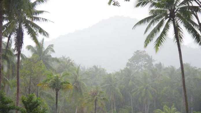 monsoon in Maharashtra