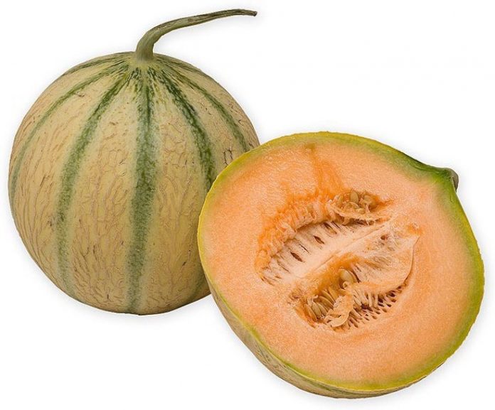 premium melons