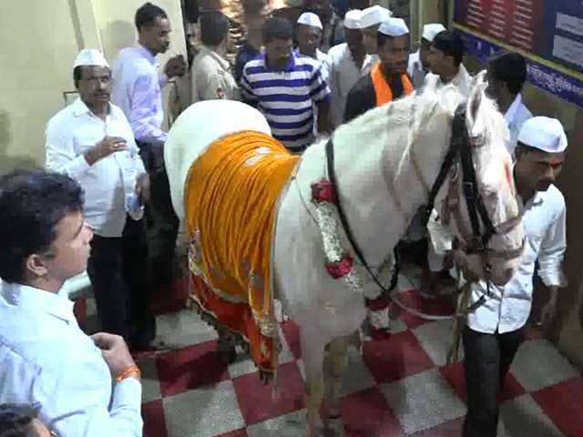 horse-dead-in-dnyaneshawar-mauli-palkhi