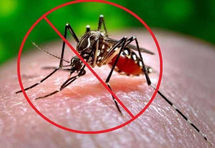dengue awareness