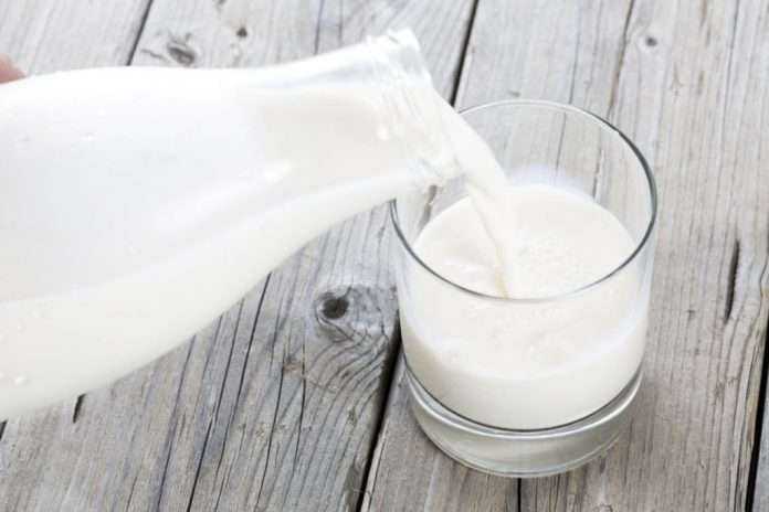 Milk Subsidy