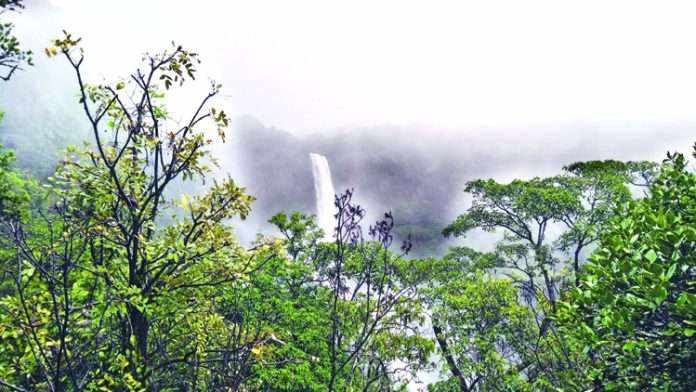 Bhambavli Vajrai Waterfall