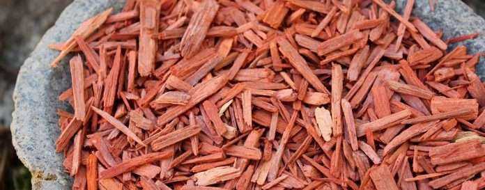 red sanders wood Smuggling at nhava sheva jnpt