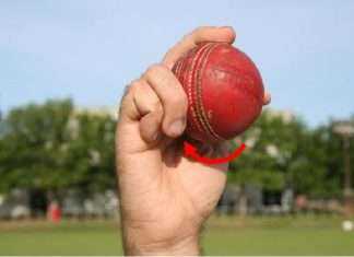 cricket ball spin