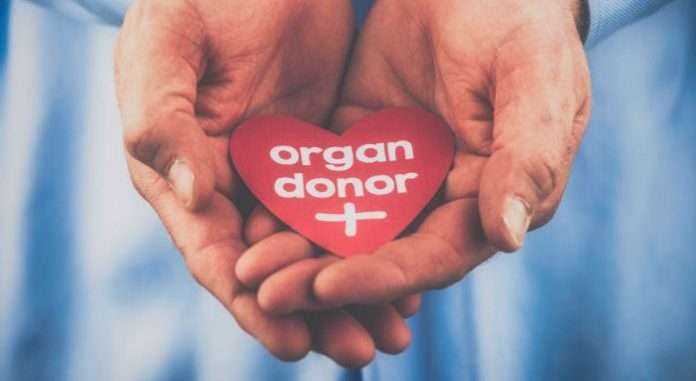 organ donation