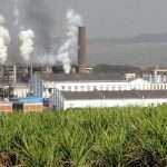 sugarcane frp increased to rs 290 per quintl says piyush goyal
