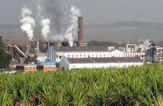 sugarcane frp increased to rs 290 per quintl says piyush goyal