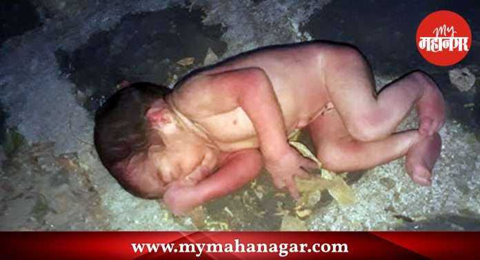dead girl was born and her mother take her at toilet