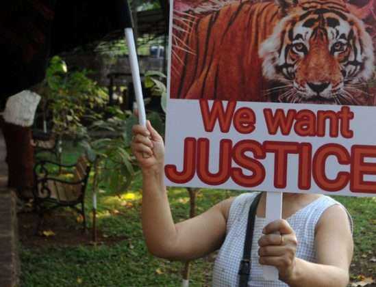 avni tigress protest