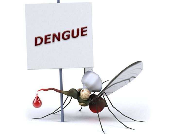 In the last three years, patients with dengue have increased, 3 people per day
