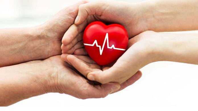 increase in the organ donation by 60 percent