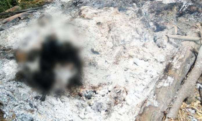 women farmer committed suicide in buldhana by creating her own balefire