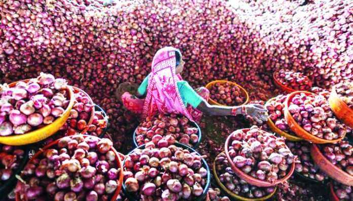 onion prices continune fall in feb month