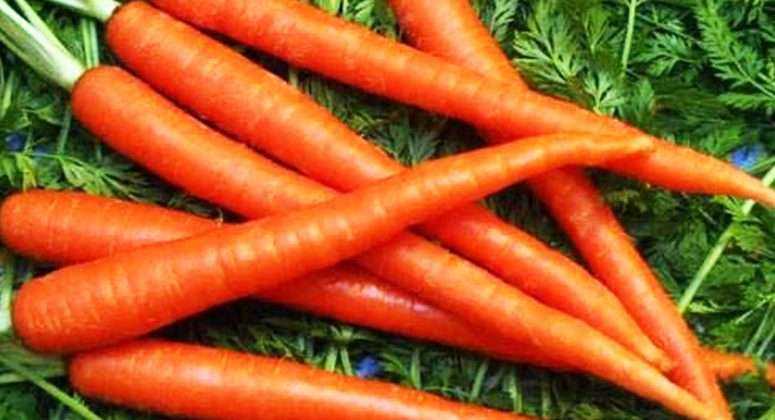 Carrot halwa