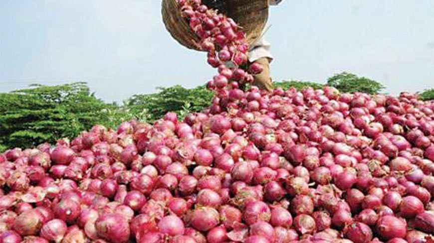 खुशखबर : बांग्लादेश सरकारने कांदा आयात बंदी उठवली