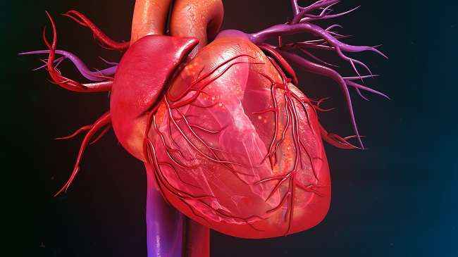 The disease of blood vessels is increasing and 5 patients need angioplasty every day