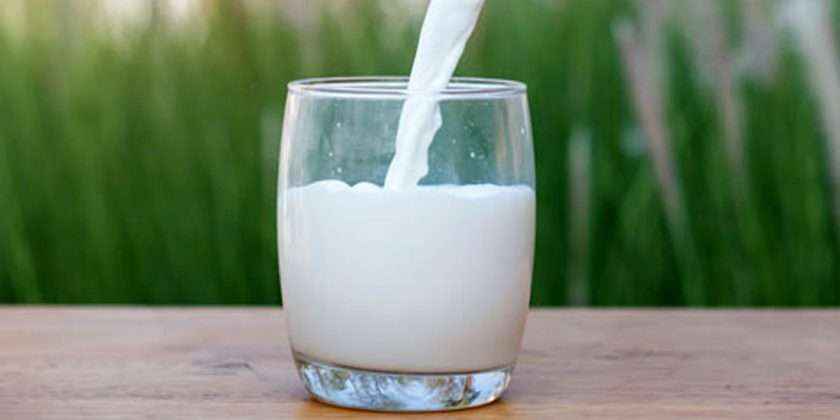 The Health Benefits of Milk