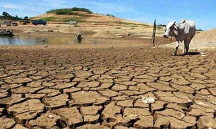 drought-hit areas