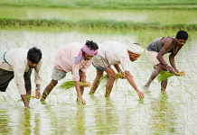 maharashtra shinde fadanvis government announce package for farmers