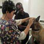 eye clinic in Mumbai in boon for animals