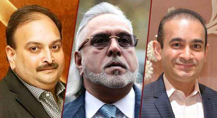 not only vijay mallya and neerav modi there are 36 absconding businessmen says ED