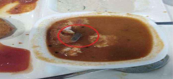 Dead lizard found in food at Haldiram's restaurant in Nagpur
