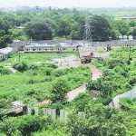 illegal construction increasing in large amount at Dombivali
