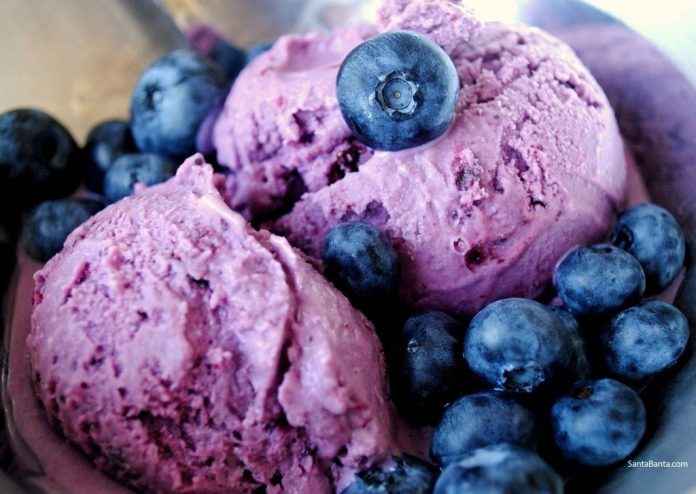 grape-and-black-currant-ice-cream