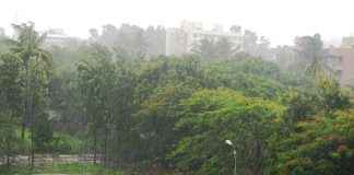 Rain Nashik