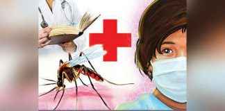 Dengue cases increasing in maharashtra, death rate decreased