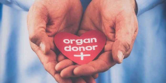 organ donation campaign