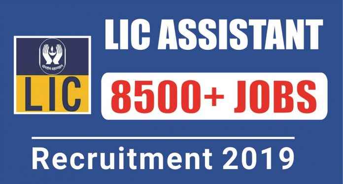 lic assistant recruitment 2019 know application process for 8000 post