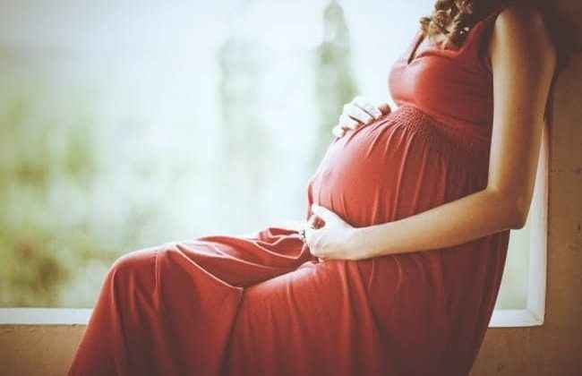 pregnant indian woman in uae files petition in supreme court of india seeks repatriation report
