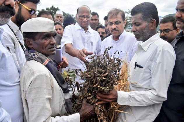 Farmers have presented misery to Sharad Pawar 6