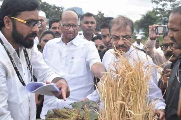 Farmers have presented misery to Sharad Pawar 9