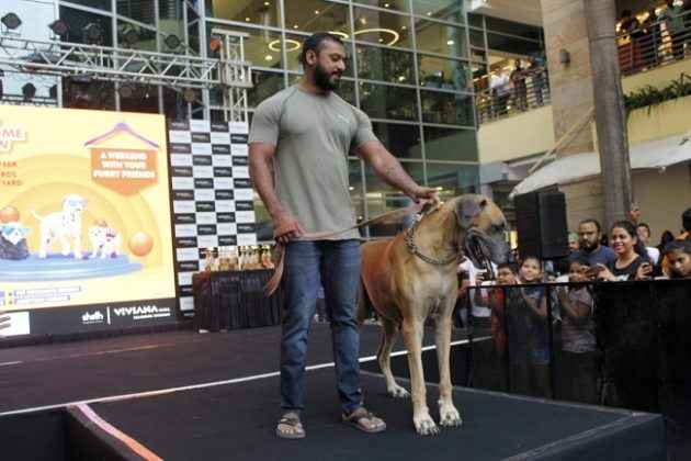 dog walk on ramp in viviana mall thane