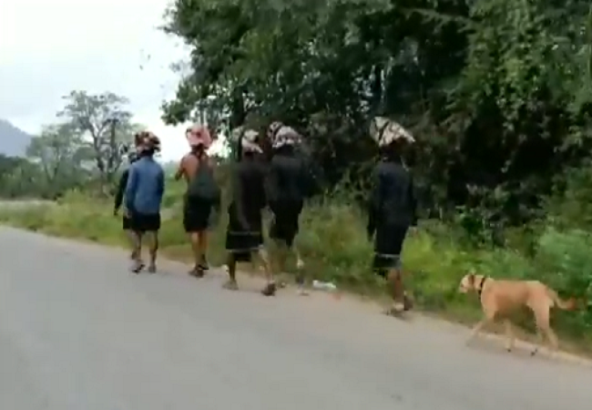 Video: तीर्थयात्रा करण्यासाठी कुत्रा चक्क चालला ४८० किलोमीटर!