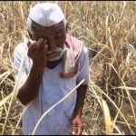 one lakh farmers not get help through PM-kisan scheme in Nashik