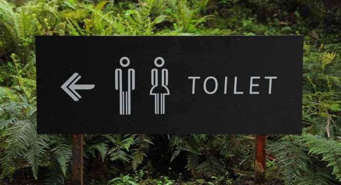 toilet meaning