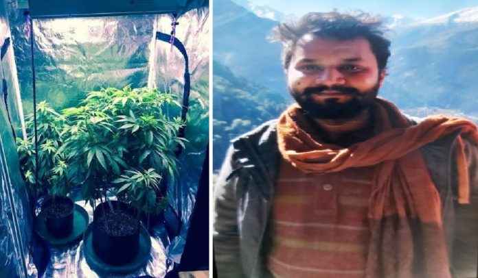 26 year old boy growing ganja at his friends house using advanced technology