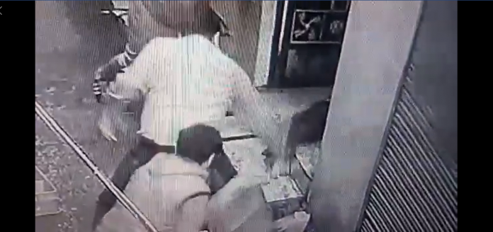 punjab jalandhar pitbull attack teen locals struggle to rescue him viral video