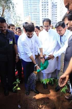 Bmc is using "Miyawaki" plantation method on 64 places for plating trees in mumbai