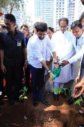 Bmc is using "Miyawaki" plantation method on 64 places for plating trees in mumbai
