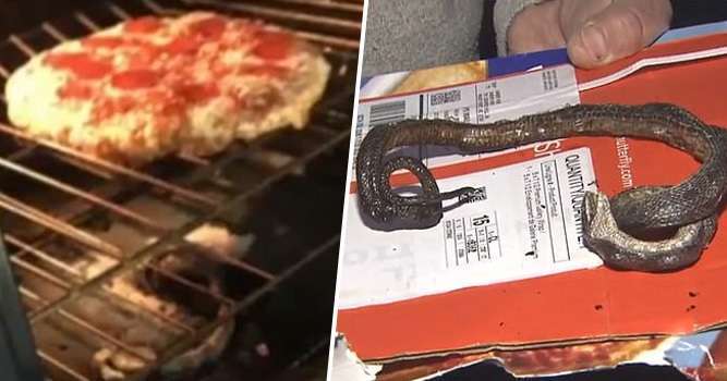 viral video north carolina family finds snake in oven while baking pizza