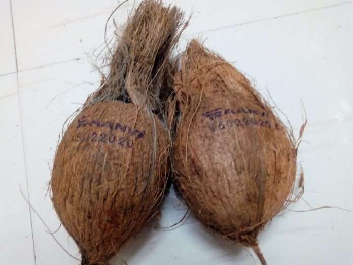 Expiry date will be printed on coconut
