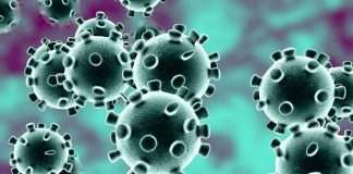 coronavirus in sindhudurg