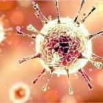 Most of the thirteen newly discovered in Sangamner are infected