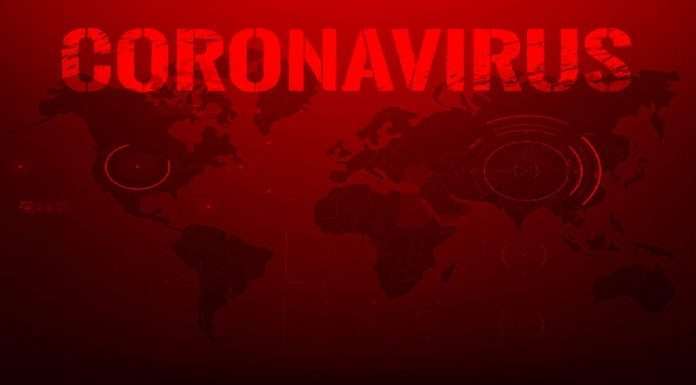 world wide corona virus cases